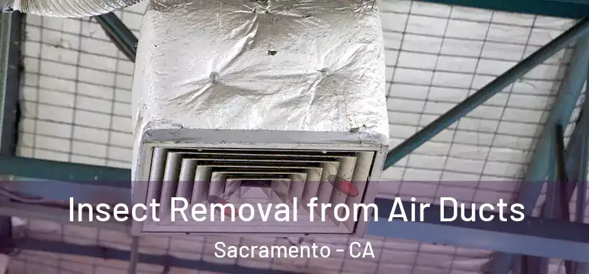  Insect Removal from Air Ducts Sacramento - CA
