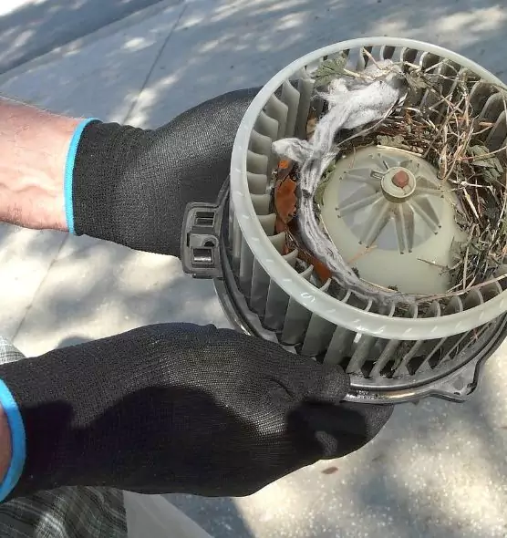 About Air Duct Mice Removal in Sacramento, CA