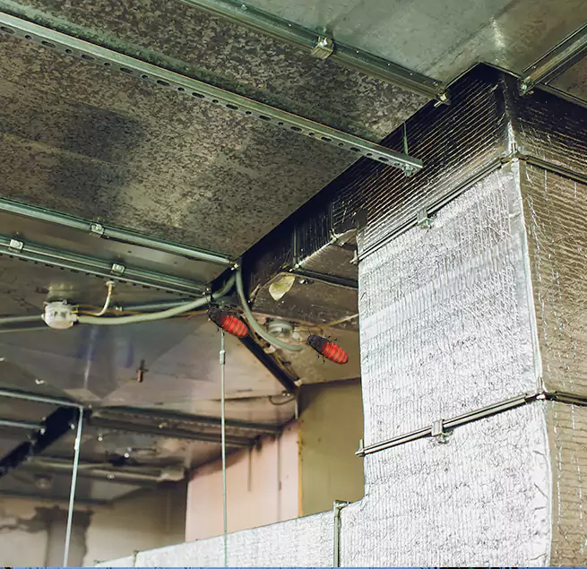 Why Homeowners & Businesses Trust Us in Sacramento, CA?