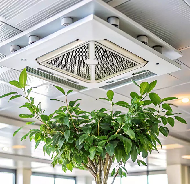 Why Homeowners & Businesses Trust Us in Sacramento, CA?