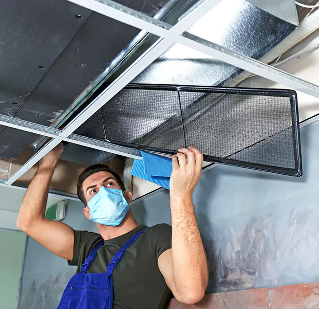 Why Homeowners & Businesses Trust Us in Sacramento, CA?